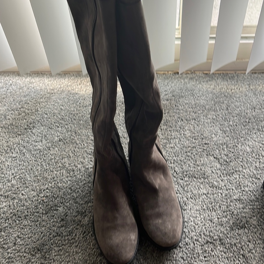 Karl Lagerfeld Mimi Riding Boots Genuine Suede In Ash Grey / Taupe